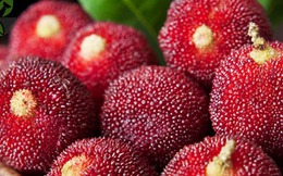 5 loại trái cây là 'vua ung thư', bị xếp vào 'danh sách đen'