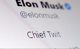 “Twitter mới” dưới thời Elon Musk sẽ thay đổi ra sao?
