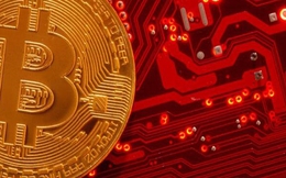 Giá Bitcoin hôm nay 15/11: Rơi xuống 16.000 USD, nguy cơ giảm sâu