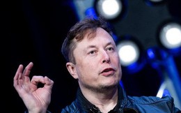 Công khai ''sửa lưng'' Elon Musk, một nhân viên Twitter bị đuổi việc trong ''một nốt nhạc''