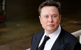 Từ vụ tỷ phú Elon Musk sa thải hàng loạt nhân viên Twitter: 3 kỹ năng tối quan trọng để dập tắt nguy cơ ‘bị đá văng” khỏi công ty?