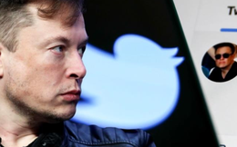 Loạt nhân viên Twitter quyết định bỏ việc sau ''tối hậu thư'' của Elon Musk: ''Chọn bỏ việc, tôi tự do!"