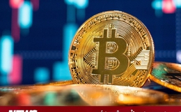 Giá Bitcoin hôm nay 20/11: Chìm trong sắc đỏ