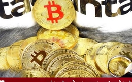 Giá Bitcoin hôm nay 23/11: Bitcoin mất mốc 16.000 USD, nguy cơ 'vỡ trận'