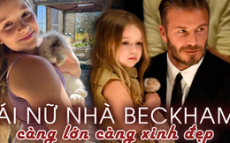 'Công chúa nhỏ' nhà triệu phú Beckham: Sinh ra đã 'ngậm thìa bạc' nhưng được dạy dỗ rất kỷ luật, bộc lộ tài năng trong lĩnh vực không ngờ