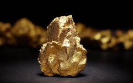 Vi khuẩn được phát hiện vào năm 1976 có thể biến kim loại thành vàng