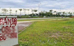 Đấu giá đất vàng tại Đông Anh, giá trúng cao nhất gần 160 triệu đồng/m2
