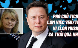 Ác mộng của Phó chủ tịch Twitter: Phải làm việc hơn 75 giờ/tuần vì Elon Musk đã đuổi quá nhiều người