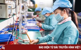 [INFOGRAPHIC] Sự phát triển doanh nghiệp Việt Nam giai đoạn 2016-2022