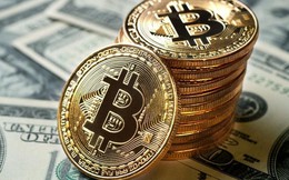 Sau 1 năm, 80% triệu phú Bitcoin “bay màu”
