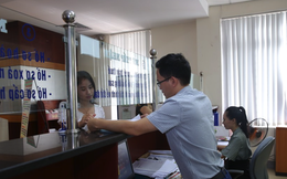 Vì sao hàng loạt giám đốc doanh nghiệp ở Nghệ An bị tạm hoãn xuất cảnh?
