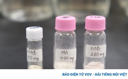 Nhà khoa học Việt Nam phát hiện chất chống ung thư máu trong lúa, gạo