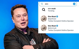 Elon Musk "hàng giả" mọc lên như nấm sau phi vụ Twitter bán tick xanh giá 8 USD