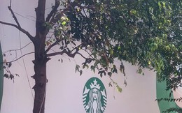 Starbucks sắp đổ bộ Hội An sau nhiều năm chật vật theo đuổi vì lý do "khó nói"