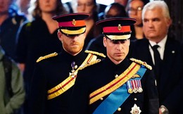 Phản ứng của Thái tử William và nhân viên hoàng gia trước bộ phim “bom tấn” kể hết của vợ chồng Harry - Meghan
