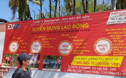 Ráo riết tuyển lao động thời vụ