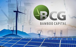 Vì sao FiinRatings ngừng xếp hạng tín nhiệm Bamboo Capital?