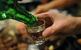 Cảnh báo ngộ độc rượu gia tăng cuối năm