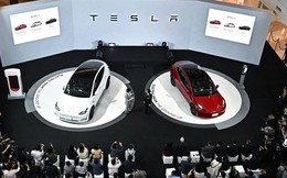 Khởi đầu bùng nổ của Tesla tại xứ Chùa Vàng: Cư dân mạng tấm tắc khen rẻ, người dùng đặt hơn 5000 xe trong 3 ngày