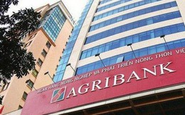 4 lần rao bán bất thành, Agribank đại hạ giá khoản nợ trăm tỷ tại tại dự án Tricon Towers Bắc An Khánh