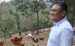Giám đốc từ chức về quê nuôi giống gà không ai mua nhưng lại kiếm hàng trăm tỷ đồng mỗi năm theo cách không tưởng