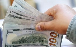 USD chạm đáy 8 tháng do lạm phát chậm lại, vàng, euro, yen Nhật đồng loạt tăng cao