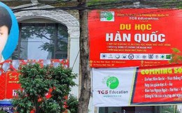 Truy nã nữ giám đốc lừa đảo tư vấn du học, lao động xuất khẩu