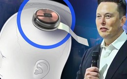 Elon Musk: ‘Công ty của tôi tự tin cấy chip vào não người trong 6 tháng tới’