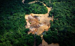 “Con đường dẫn đến sự hỗn loạn” ở Amazon – Nơi nạn đào vàng trái phép tạo ra thảm kịch nhân đạo khủng khiếp
