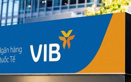 Hết thời gian, Phó Tổng giám đốc VIB mới mua hơn 1/5 lượng cổ phiếu đăng ký