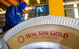 Chứng khoán Rồng Việt: Biên lợi nhuận Hoa Sen có thể bật tăng trong nửa cuối niên độ tài chính 2022/2023