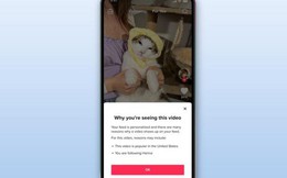 TikTok lần đầu tiết lộ cách đề xuất video cho người dùng