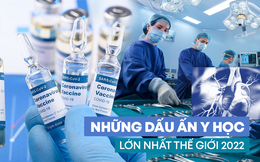 Những dấu ấn đột phá trong nền y học thế giới 2022: Ca ghép tim đầu tiên từ lợn sang người, tiếp thêm niềm hy vọng trong điều trị ung thư