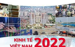Kinh tế Việt Nam năm 2022: Những gam màu sáng - tối