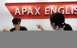 HoSE nhắc nhở Apax Holdings (IBC) về việc công bố thông tin giao dịch với các bên liên quan