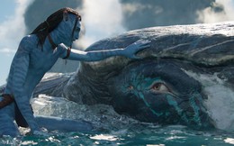 'Avatar 2' vượt một tỷ USD dù bị kêu gọi tẩy chay