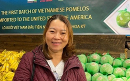 Bưởi da xanh Việt Nam lần đầu "có mặt" tại Mỹ, người Việt hào hứng mua