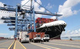 Mặt hàng có kim ngạch xuất khẩu trên 50 tỷ USD 11 tháng đầu năm 2022