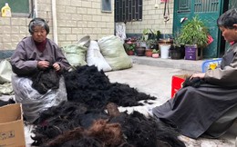 Trung Quốc có thành phố mệnh danh 'thánh địa của tóc giả' - nơi những cô gái nông thôn bán tóc thành thông lệ