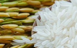 Gạo đặc sản Campuchia giành giải nhất cuộc thi gạo ngon thế giới