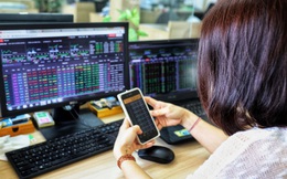 Thị trường chứng khoán tìm đỉnh cao mới