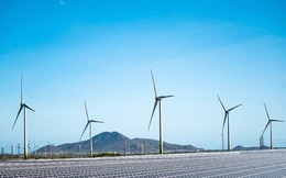 Đề xuất dừng cấp chủ trương đầu tư dự án điện gió, điện mặt trời chưa triển khai