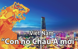 Việt Nam có nhiều đặc điểm của "Bốn con hổ châu Á" cũ: Sự trỗi dậy đã rất rõ ràng