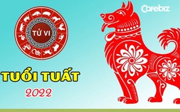 Tử vi TUỔI TUẤT năm 2022: Bừng sáng tiền tài, công danh thăng tiến nhưng bị tiểu nhân hãm hại, cần tuân thủ 1 nguyên tắc