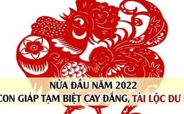 4 con giáp bất ngờ đổi đời ngay nửa đầu năm 2022, tạm biệt hết cay đắng để hưởng tài lộc đếm không xuể