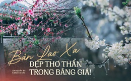 Ảnh: Vẻ đẹp băng giá của bản Lao Xa ở Hà Giang những ngày "âm độ C", tiên cảnh cũng chỉ cỡ này mà thôi!