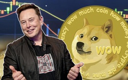 Xôn xao chuyện Elon Musk gõ tiếng Việt trên Twitter, dân tình ‘té ngửa’ hoá ra tỷ phú muốn ám chỉ điều này