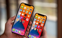 ‘Tránh vỏ dưa gặp vỏ dừa’, chuỗi cung ứng màn hình Apple lại gặp khó