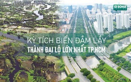 Khó tin cảnh "phù phép" đầm lầy thành đại lộ 100 triệu USD lớn nhất TP.HCM