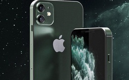 Ngoài iPhone 9 triệu, Apple còn một chiếc iPhone khác hấp dẫn không kém với kích thước siêu to, giá siêu rẻ?